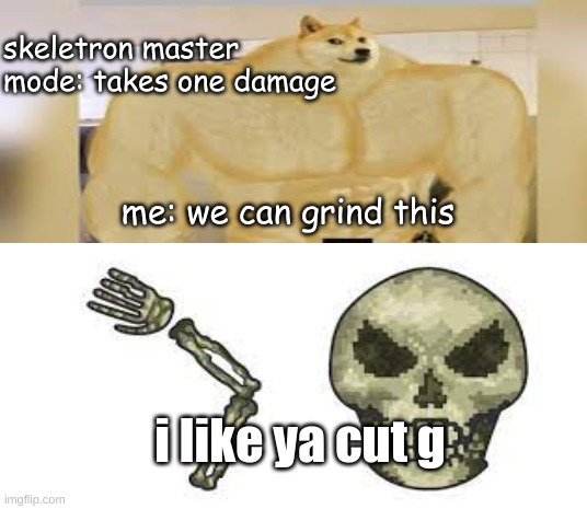 terraria master mode | skeletron master mode: takes one damage; me: we can grind this; i like ya cut g | image tagged in funny,terraria,gaming,i like ya cut g | made w/ Imgflip meme maker