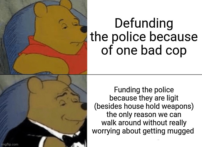 Fun fact blm can mean Blue Lives Matter | Defunding the police because of one bad cop; Funding the police because they are ligit (besides house hold weapons) the only reason we can walk around without really worrying about getting mugged | image tagged in memes,tuxedo winnie the pooh | made w/ Imgflip meme maker