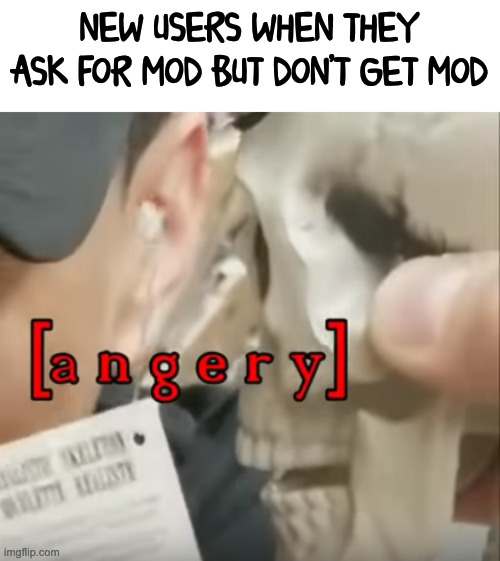 how dare you not give me mod, toxic site, i am leaving cuz no mod >:((((( | NEW USERS WHEN THEY ASK FOR MOD BUT DON'T GET MOD | image tagged in a n g e r y | made w/ Imgflip meme maker