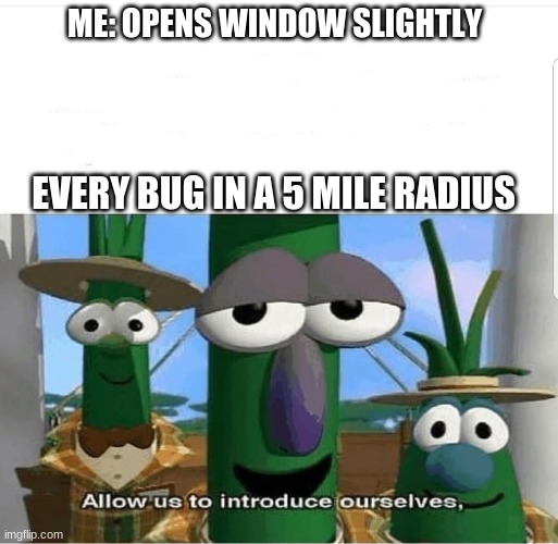 Allow us to introduce ourselves | ME: OPENS WINDOW SLIGHTLY; EVERY BUG IN A 5 MILE RADIUS | image tagged in allow us to introduce ourselves | made w/ Imgflip meme maker
