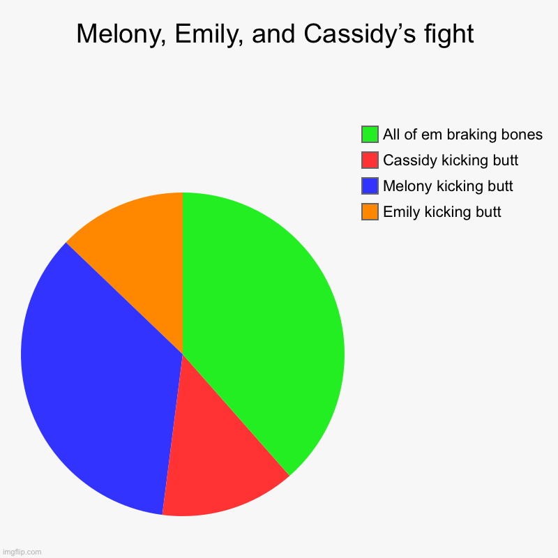 Melony, Emily, and Cassidy’s fight | Melony, Emily, and Cassidy’s fight | Emily kicking butt, Melony kicking butt, Cassidy kicking butt, All of em braking bones | image tagged in charts,pie charts | made w/ Imgflip chart maker