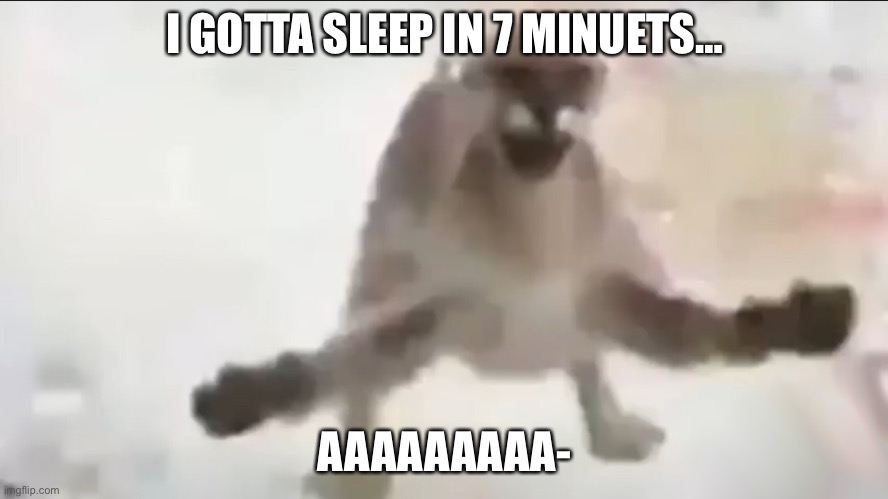 Angy floppa | I GOTTA SLEEP IN 7 MINUETS…; AAAAAAAAA- | image tagged in angy floppa | made w/ Imgflip meme maker