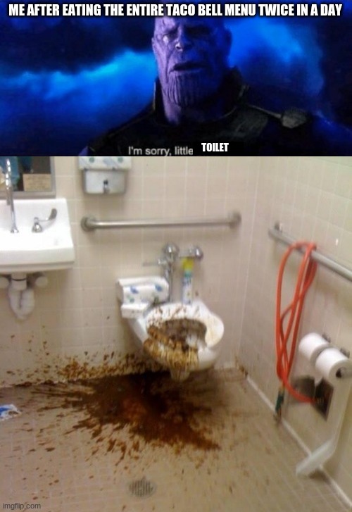 That's a lot of damage... | ME AFTER EATING THE ENTIRE TACO BELL MENU TWICE IN A DAY; TOILET | image tagged in im sorry little one,taco bell,memes,poop,fard | made w/ Imgflip meme maker