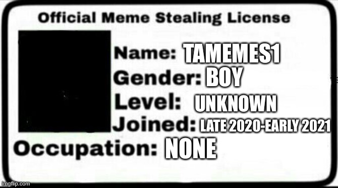 Meme Stealing License | TAMEMES1; BOY; UNKNOWN; LATE 2020-EARLY 2021; NONE | image tagged in meme stealing license | made w/ Imgflip meme maker