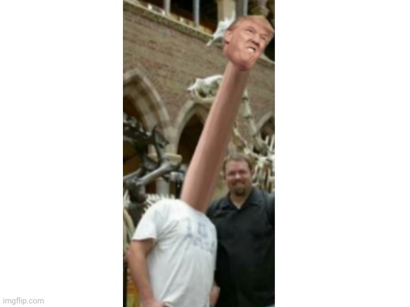 Æ | image tagged in blank white template,donald trump,yeet | made w/ Imgflip meme maker