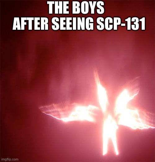 Scp 001 | THE BOYS; AFTER SEEING SCP-131 | image tagged in scp 001 | made w/ Imgflip meme maker