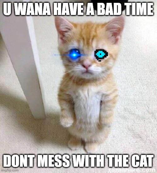 CATALE | U WANA HAVE A BAD TIME; DONT MESS WITH THE CAT | image tagged in memes,cute cat | made w/ Imgflip meme maker