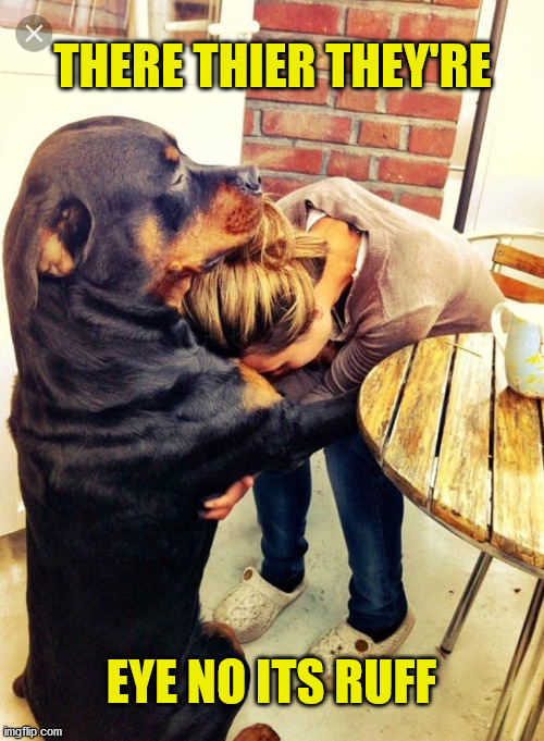 Dog comforting human | THERE THIER THEY'RE EYE NO ITS RUFF | image tagged in dog comforting human | made w/ Imgflip meme maker
