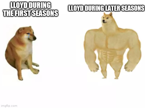 From annoying brat to literal Chad and total genius | LLOYD DURING LATER SEASONS; LLOYD DURING THE FIRST SEASONS | image tagged in buff doge vs cheems reversed | made w/ Imgflip meme maker