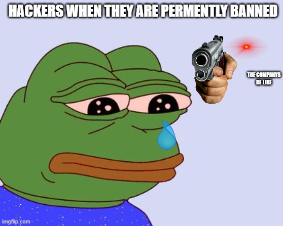 never hack or u should | HACKERS WHEN THEY ARE PERMENTLY BANNED; THE COMPANYS BE LIKE | image tagged in pepe the frog | made w/ Imgflip meme maker