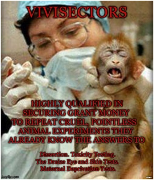 Vivisection | image tagged in vegan,experiment,scientist,pseudoscience,lab,animal rights | made w/ Imgflip meme maker