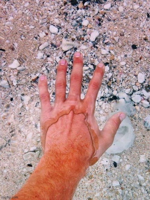 very clear water | image tagged in water,clear | made w/ Imgflip meme maker
