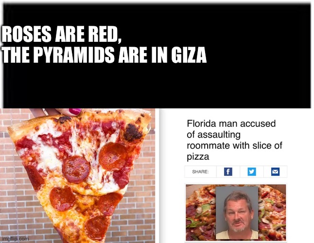 Florida man… Again… | ROSES ARE RED,
THE PYRAMIDS ARE IN GIZA | image tagged in crazy,pizza | made w/ Imgflip meme maker