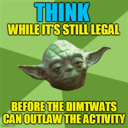 Think While It's Still Legal | THINK; WHILE IT'S STILL LEGAL; BEFORE THE DIMTWATS CAN OUTLAW THE ACTIVITY | image tagged in memes,advice yoda,democrats,think | made w/ Imgflip meme maker