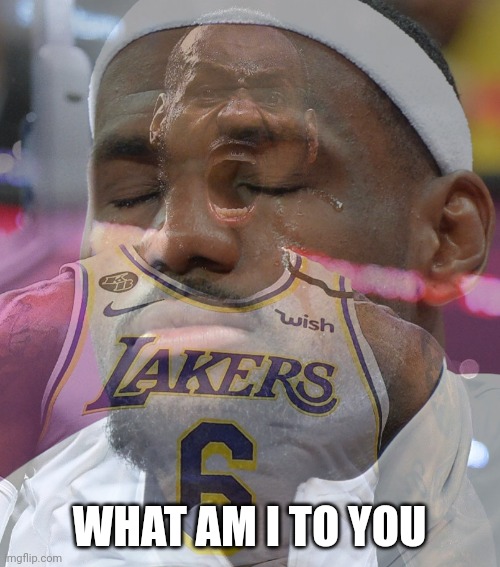 An asshole to many, but ok to others | WHAT AM I TO YOU | image tagged in crying lebron james | made w/ Imgflip meme maker