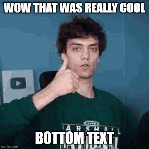 Wow that was really cool | WOW THAT WAS REALLY COOL; BOTTOM TEXT | image tagged in memes | made w/ Imgflip meme maker