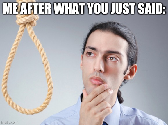 noose | ME AFTER WHAT YOU JUST SAID: | image tagged in noose | made w/ Imgflip meme maker