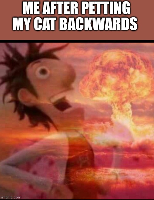 Couldn't sleep. So...one last meme of the night. | ME AFTER PETTING MY CAT BACKWARDS | image tagged in mushroomcloudy,how come the best memes,are the ones,you get in either the shower,or in bed | made w/ Imgflip meme maker