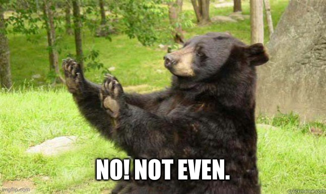 How about no bear | NO! NOT EVEN. | image tagged in how about no bear | made w/ Imgflip meme maker
