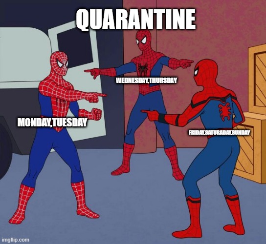 Spider Man Triple | QUARANTINE; WEDNESDAY,THURSDAY; MONDAY,TUESDAY; FRIDAY,SATURADAY,SUNDAY | image tagged in spider man triple | made w/ Imgflip meme maker