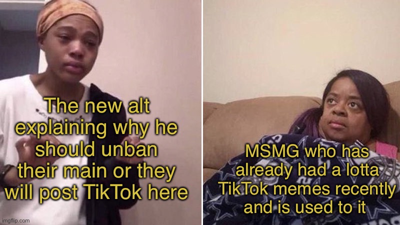 BRUHHHH | The new alt explaining why he should unban their main or they will post TikTok here; MSMG who has already had a lotta TikTok memes recently and is used to it | image tagged in me explaining to my mom | made w/ Imgflip meme maker