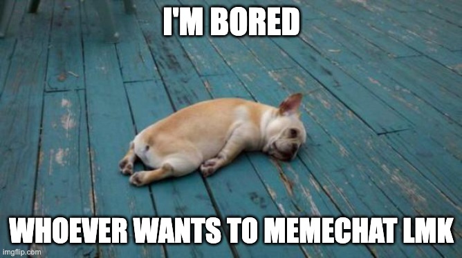 I'm so bored, there's nothing to doooo. Also sorry for whining | I'M BORED; WHOEVER WANTS TO MEMECHAT LMK | image tagged in tired dog,memes,unfunny | made w/ Imgflip meme maker