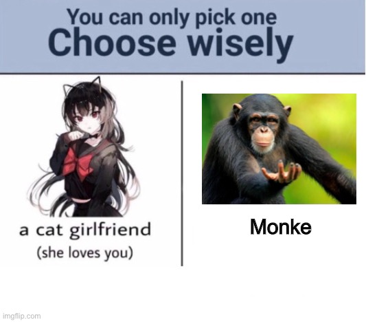 monke |  Monke | image tagged in choose wisely,monke | made w/ Imgflip meme maker