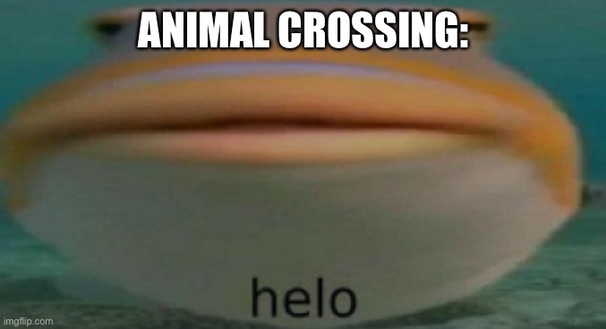 helo | ANIMAL CROSSING: | image tagged in helo | made w/ Imgflip meme maker