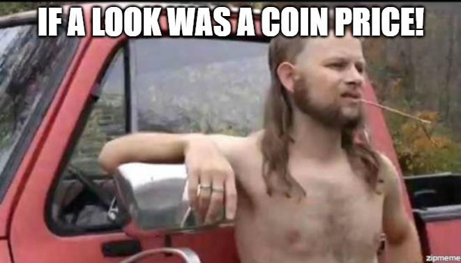 the image | IF A LOOK WAS A COIN PRICE! | image tagged in almost politically correct redneck | made w/ Imgflip meme maker