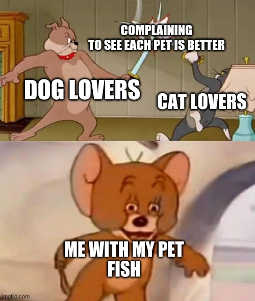 And every day is the same discussion over and over again | COMPLAINING
TO SEE EACH PET IS BETTER; DOG LOVERS; CAT LOVERS; ME WITH MY PET
FISH | image tagged in tom and jerry swordfight,dog lovers,cat lovers | made w/ Imgflip meme maker