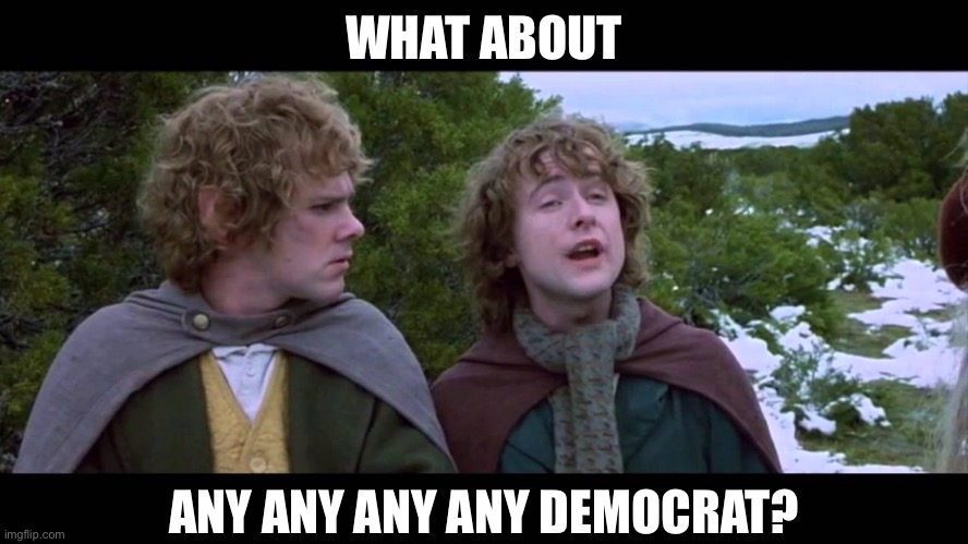 What about 2nd... | WHAT ABOUT ANY ANY ANY ANY DEMOCRAT? | image tagged in what about 2nd | made w/ Imgflip meme maker