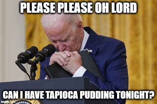 Crying | PLEASE PLEASE OH LORD; CAN I HAVE TAPIOCA PUDDING TONIGHT? | image tagged in crying | made w/ Imgflip meme maker