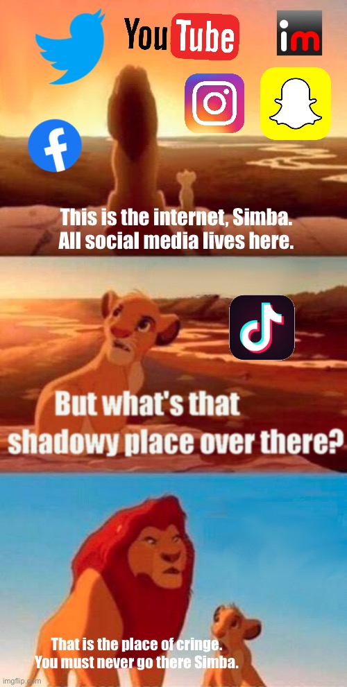The forbidden app | This is the internet, Simba. All social media lives here. That is the place of cringe. You must never go there Simba. | image tagged in memes,simba shadowy place,the lion king,simba,disney,funny | made w/ Imgflip meme maker