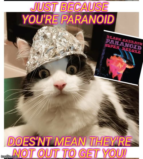 JUST BECAUSE YOU'RE PARANOID; DOES'NT MEAN THEY'RE NOT OUT TO GET YOU! | image tagged in it's a conspiracy,kitty,paranoid | made w/ Imgflip meme maker