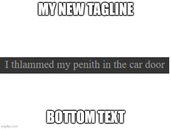I thlammed my penith in the car door | MY NEW TAGLINE; BOTTOM TEXT | image tagged in blank white template | made w/ Imgflip meme maker