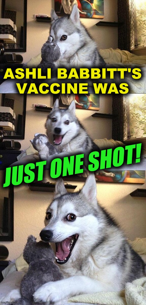 too soon or too late? :) | ASHLI BABBITT'S
VACCINE WAS; JUST ONE SHOT! | image tagged in memes,bad pun dog,ashli babbitt,covid vaccine,one shot,capitol riot | made w/ Imgflip meme maker