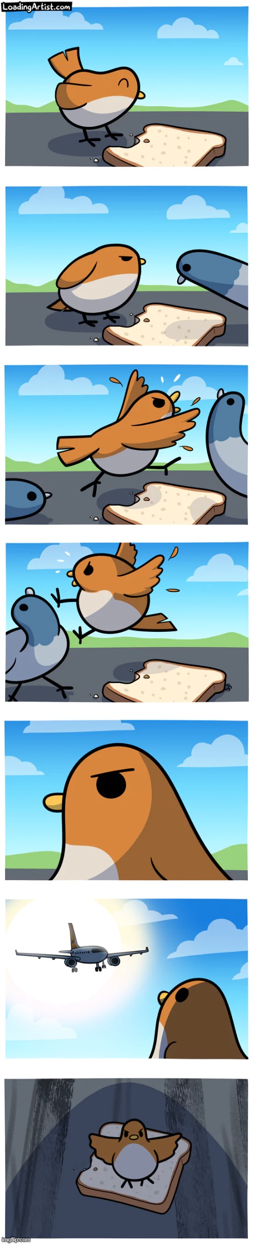 Thanks for the 200000 points and have a nice day:D | image tagged in comics,birds | made w/ Imgflip meme maker