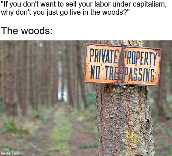 “It’s all private property?” | "If you don't want to sell your labor under capitalism,
why don't you just go live in the woods?"; The woods: | image tagged in private property,anarchism,socialism,capitalism,freedom,communism | made w/ Imgflip meme maker
