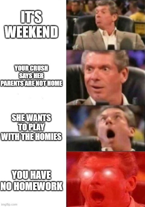 idk if someone did this before but when this happens damn its cool | IT'S WEEKEND; YOUR CRUSH SAYS HER PARENTS ARE NOT HOME; SHE WANTS TO PLAY WITH THE HOMIES; YOU HAVE NO HOMEWORK | image tagged in mr mcmahon reaction | made w/ Imgflip meme maker