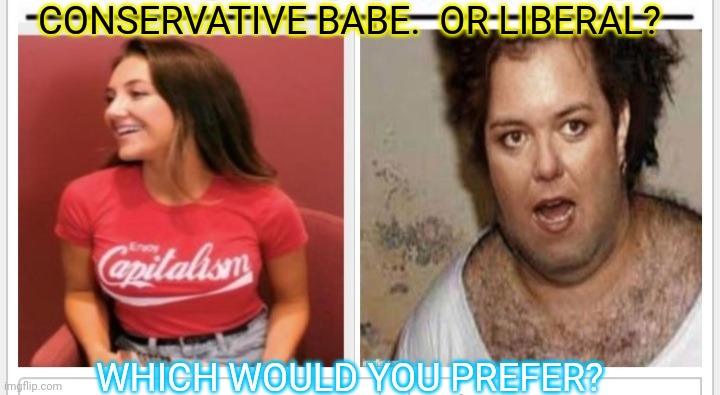 Seems like an easy choice | CONSERVATIVE BABE.  OR LIBERAL? WHICH WOULD YOU PREFER? | image tagged in liberal vs conservative,republicans,rule,crying democrats,homer drooling | made w/ Imgflip meme maker