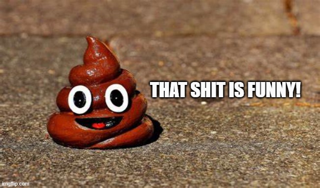 FUNNY SHIT | THAT SHIT IS FUNNY! | image tagged in shit,crap,dump,turd,diarrhea,fart | made w/ Imgflip meme maker