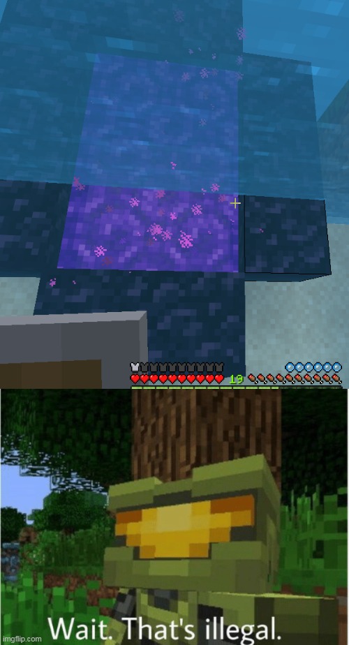 oh ok | image tagged in minecraft wait thats illegal | made w/ Imgflip meme maker