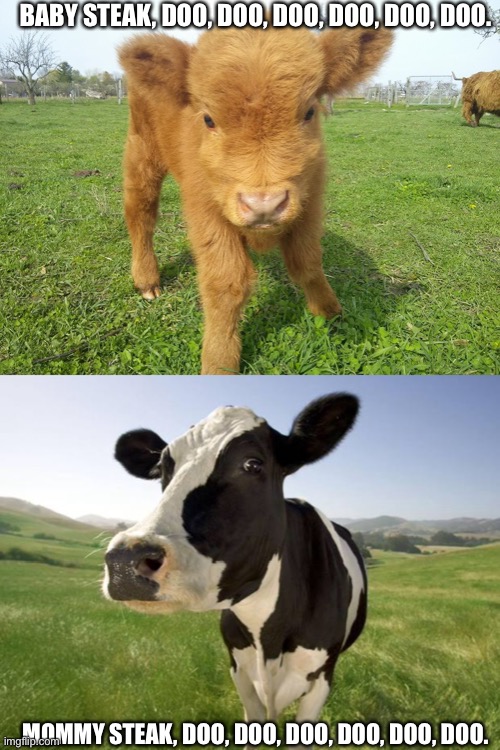 If cows could sing | BABY STEAK, DOO, DOO, DOO, DOO, DOO, DOO. MOMMY STEAK, DOO, DOO, DOO, DOO, DOO, DOO. | image tagged in highland calf,cow,steak,rare steak meme | made w/ Imgflip meme maker