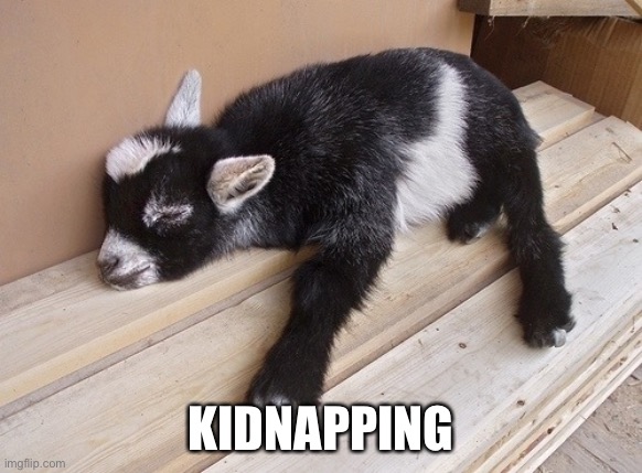 Kidnapping | KIDNAPPING | image tagged in sleepy baby goat,kidnapping,kidnap | made w/ Imgflip meme maker