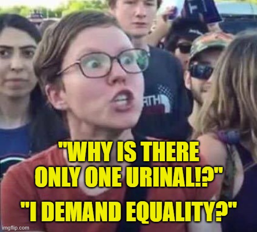 Angry Liberal | "WHY IS THERE ONLY ONE URINAL!?" "I DEMAND EQUALITY?" | image tagged in angry liberal | made w/ Imgflip meme maker