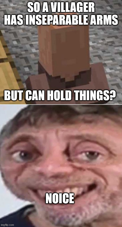 That's Not How Physics Work, Mr. Villajerry! | SO A VILLAGER HAS INSEPARABLE ARMS; BUT CAN HOLD THINGS? NOICE | image tagged in minecraft villager looking up,noice,wondering | made w/ Imgflip meme maker