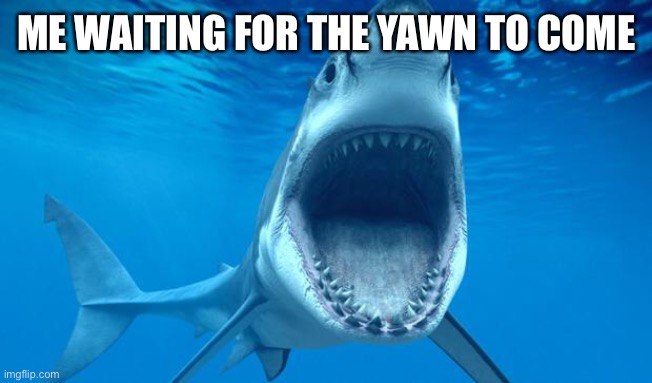 shark open mouth | ME WAITING FOR THE YAWN TO COME | image tagged in shark open mouth | made w/ Imgflip meme maker