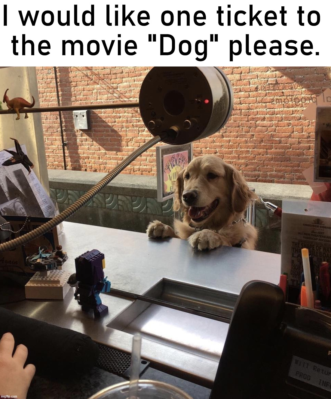 I would like one ticket to 
the movie "Dog" please. | image tagged in dogs | made w/ Imgflip meme maker