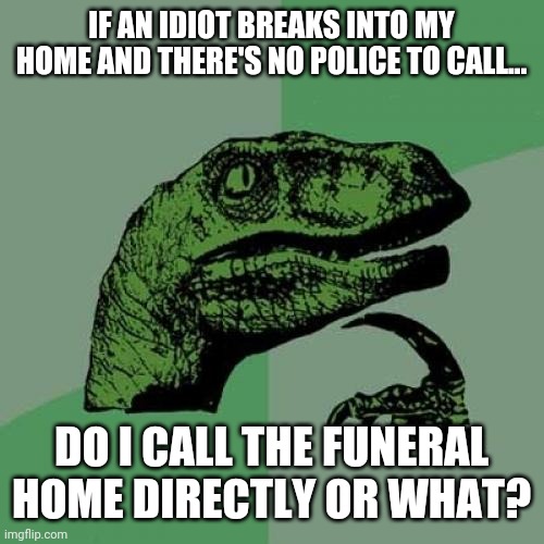 Send the hearse. | IF AN IDIOT BREAKS INTO MY HOME AND THERE'S NO POLICE TO CALL... DO I CALL THE FUNERAL HOME DIRECTLY OR WHAT? | image tagged in memes | made w/ Imgflip meme maker