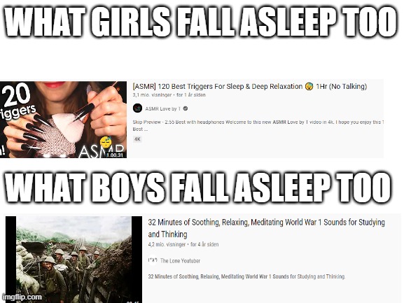 Blank White Template | WHAT GIRLS FALL ASLEEP TOO; WHAT BOYS FALL ASLEEP TOO | image tagged in asmr,ww1,sleep,sorry for band english,sorry for bad quality,and hi | made w/ Imgflip meme maker